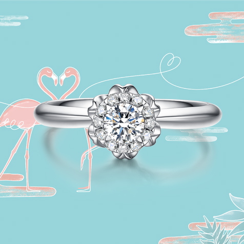 請?zhí)顚憳?biāo)題