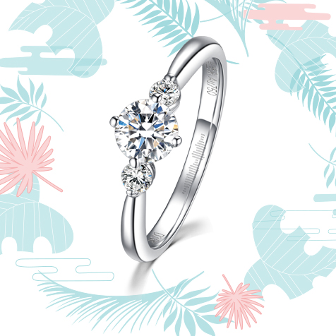 請?zhí)顚憳?biāo)題